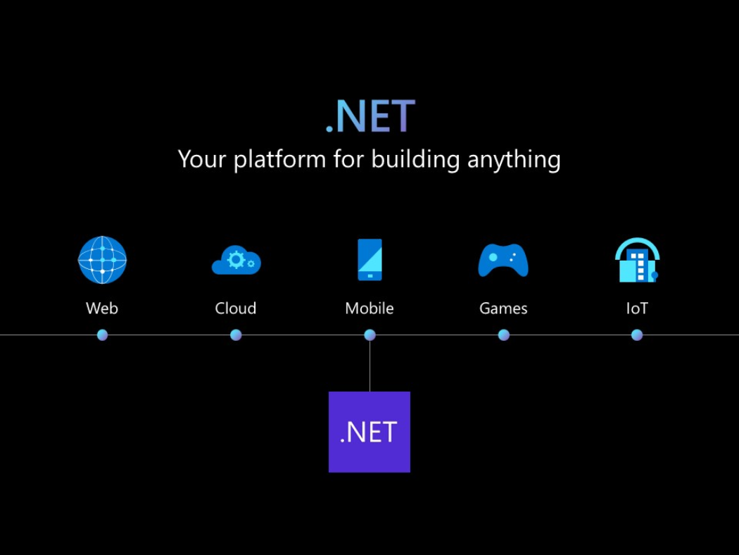 Why Choose The .NET Developer Platform?